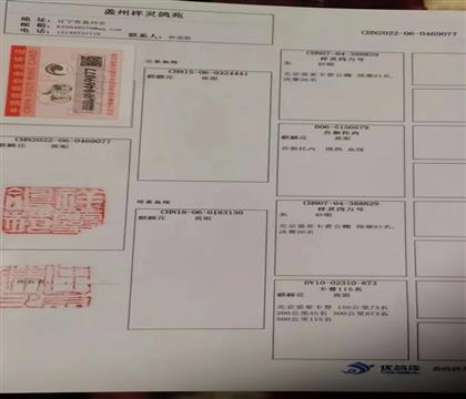 母親血統(tǒng)書