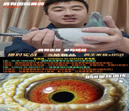 ���^����(sh��)��(zh��n)����������x858����