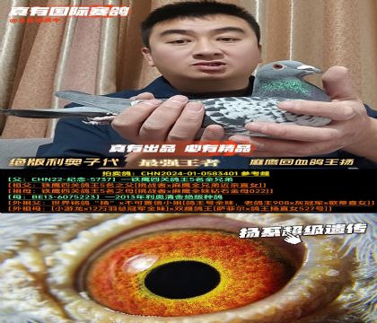 ���^�����Wԭ���Ӵ���������Ѫ�����P(y��ng)