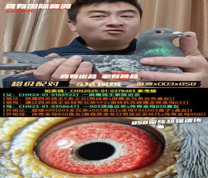 ������(j��)�䌦������x003x858