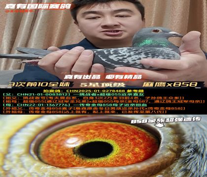 ��3��ǰ10ȫ�á�����x858