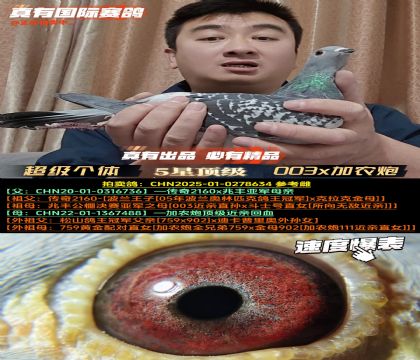 ������(j��)��(g��)�w��003x���r(n��ng)��