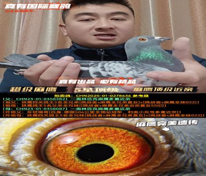 ������(j��)����������피�(j��)���H