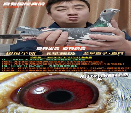 ������(j��)��(g��)�w�����S�Qِ��܊ֱ��xֱŮ