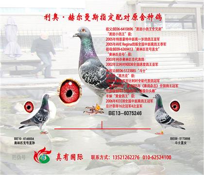 兆豐亞軍母親同窩