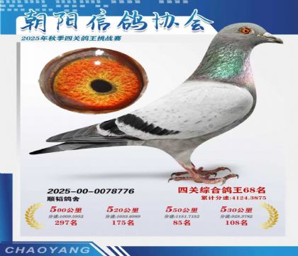 ���ֿ�˹��ʿ-�Ĺ��ۺϸ���68��