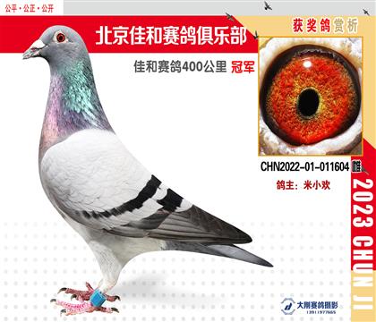 俱乐部拍的照片