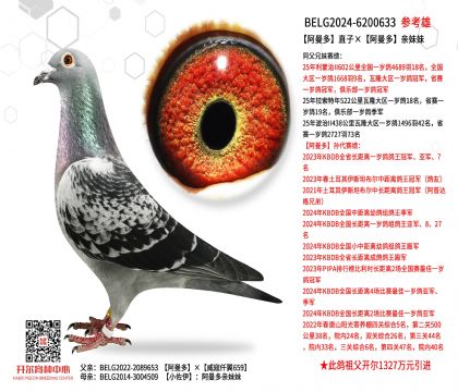 ������ֱ�ӡ��������H����