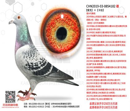 �ۿˡ�����