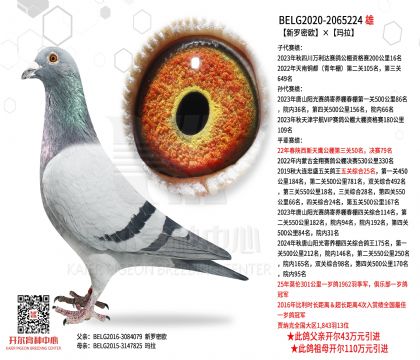 ���_�ܚW������