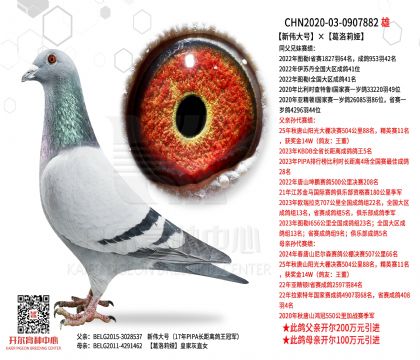 ����̖��������I