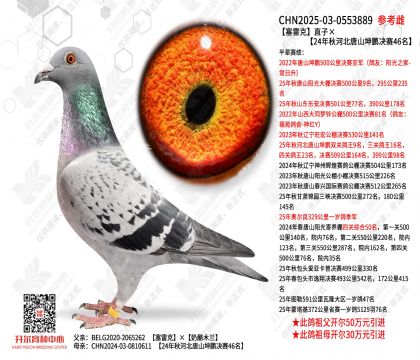 ���׿�ֱ�ӡ�24����ӱ���ɽ���i�Qِ46��