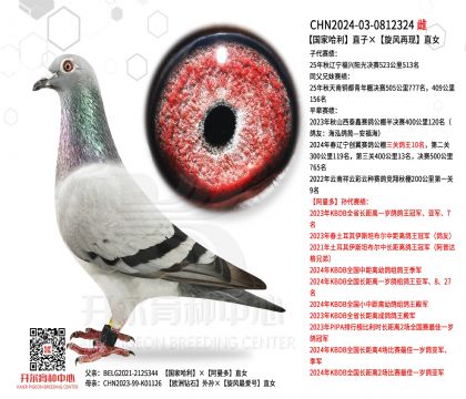 ���ҹ���ֱ�ӡ����L(f��ng)�٬F(xi��n)ֱŮ