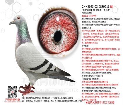 �y����̖����?sh��)�ֱ�OŮ