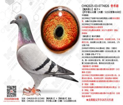 �Z�L(f��ng)��ʿֱ�ӡ��_�����Ĺ������Qِ416��