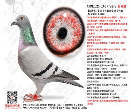 ��ƴ����ֱ�ӡ�ֱ�OŮ  ���H����