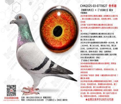 �F˹���������w���TʿֱŮ