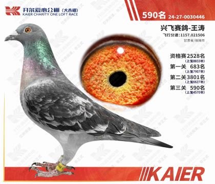 �_�����Ĺ������Qِ590��