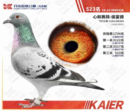 �_�����Ĺ������Qِ523��