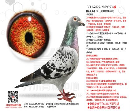 1���H22-2089653