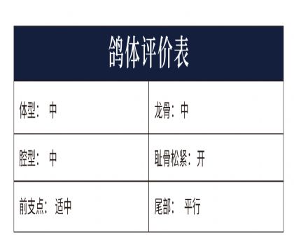 0771723測(cè)評(píng)