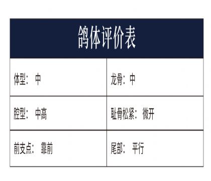 0889127測(cè)評(píng)