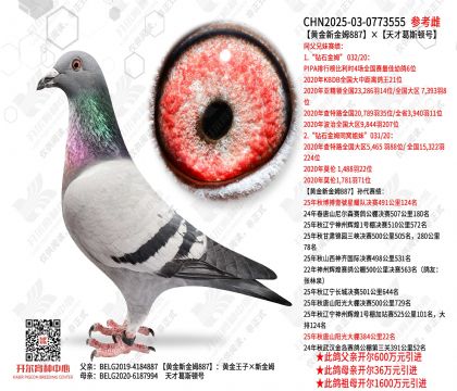 �S���½�ķ887����Ÿ�˹�D̖(h��o)