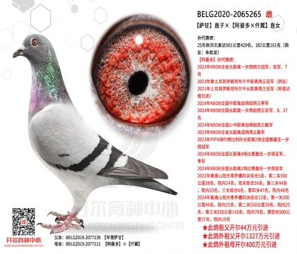 �_��ֱ�ӡ����������Ǫ����ֱŮ