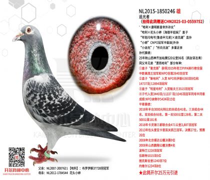 ׷���ߣ��ĵô���ٛ(z��ng)��CHN2025-03-0559752��