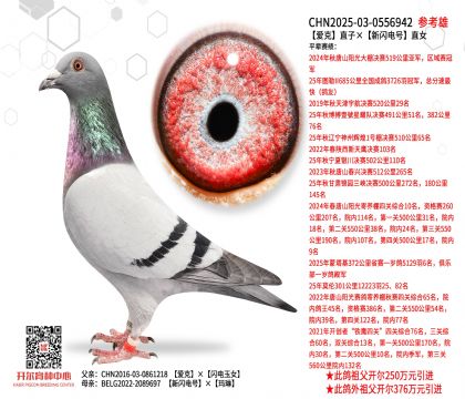 �ۿ�ֱ�ӡ����W�̖(h��o)ֱŮ