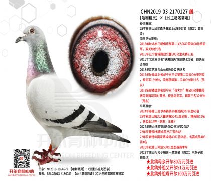 �������`������������I