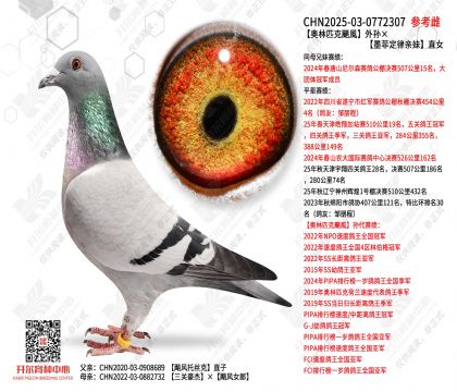 �W��ƥ���Z�L(f��ng)��O��ī�ƶ����H��ֱŮ