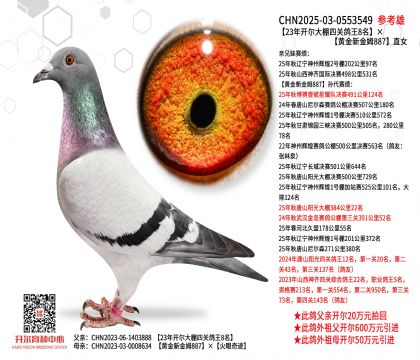 23���_���������P(gu��n)����8�����S���½�ķ887ֱŮ