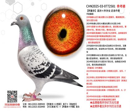 ������ֱ�O����OŮ  ���H����