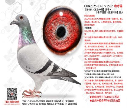 ��484������������ֱ�ӡ���ǧ�f���������ٕr(sh��)�֡�ֱŮ