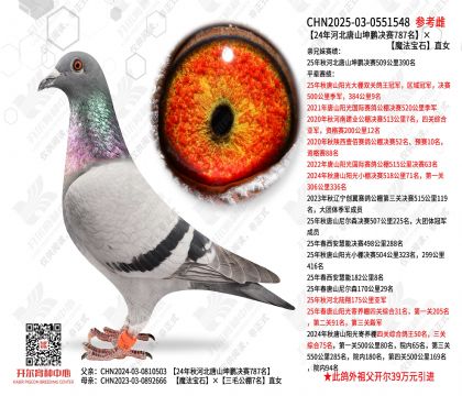 24��ӱ���ɽ���i�Qِ787����ħ����ʯֱŮ