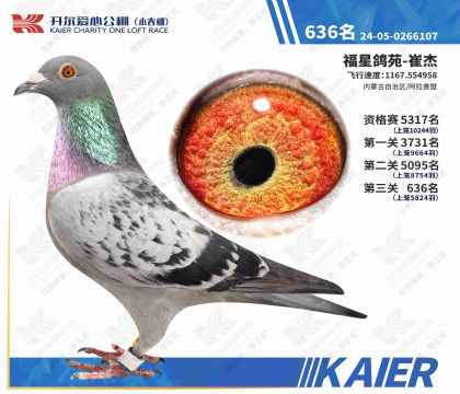 �_�����Ĺ���С����Qِ636��