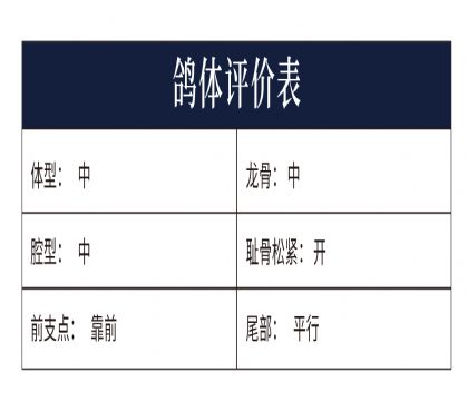 0551548測(cè)評(píng)