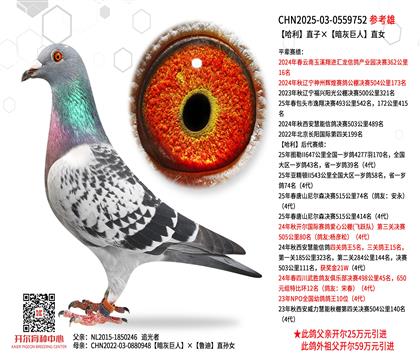 贈(zèng)送鴿25-0559752