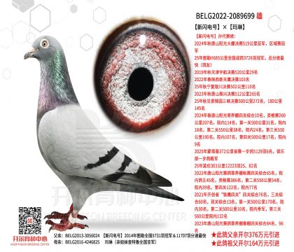 ���W�̖������