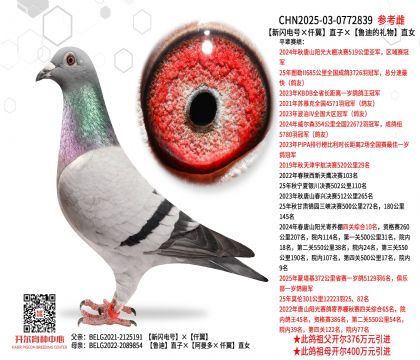 �����W�̖��Ǫ����ֱ�ӡ���?sh��)ϵĶY��ֱŮ