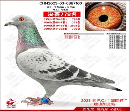 �����׿ˡ��ؙ���ķ��ֱ�ӡ������������������ֱŮ