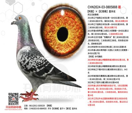 �������t�߸�ֱ�OŮ