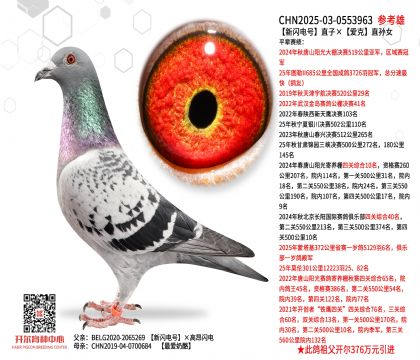 ���W�ֱ̖�ӡ��ۿ�ֱ�OŮ