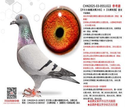 �_������Qِ29�����Rِõ��ֱŮ