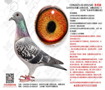 �_���������P����8���Qِ320����22��V�|���h(hu��n)��Qِ65