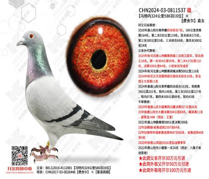 �T�؃�(n��i)324����586��16λ���M�᠖ֱŮ