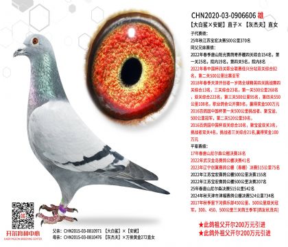 ������������ݡ�ֱ�ӡ��ҽܷ�ֱŮ