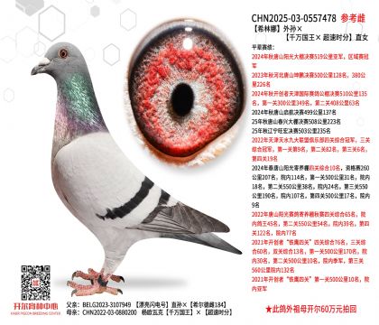 ϣ������O����ǧ�f������ ���ٕr�֡�ֱŮ