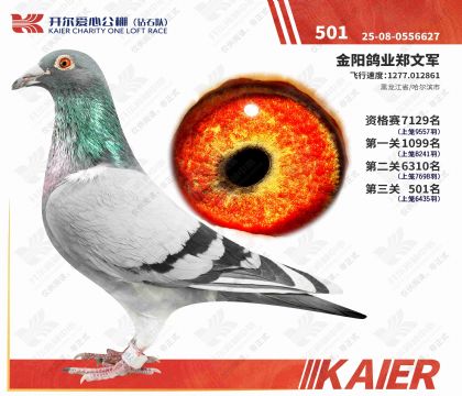 2025���_�������@ʯꠛQِ501��